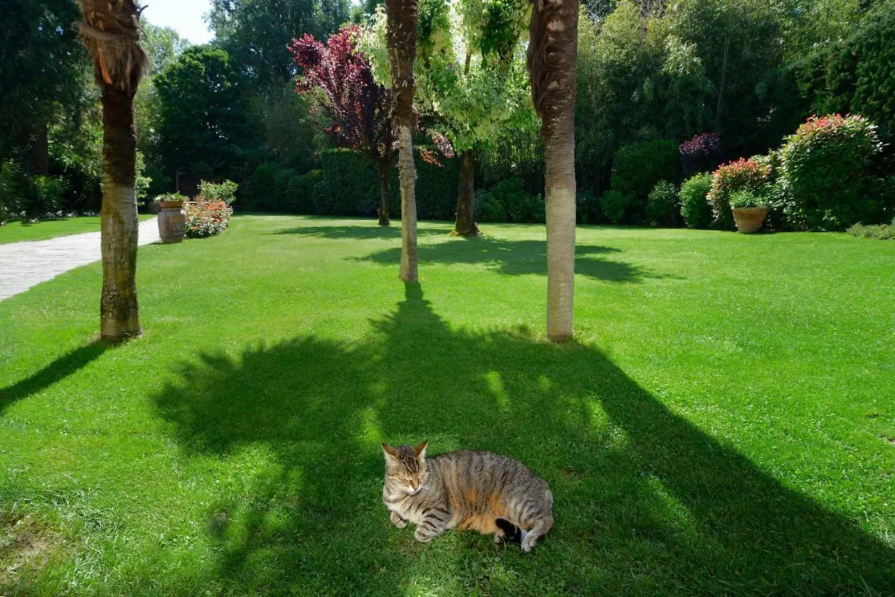 Villa Le Facezie B&B Terranuova Bracciolini