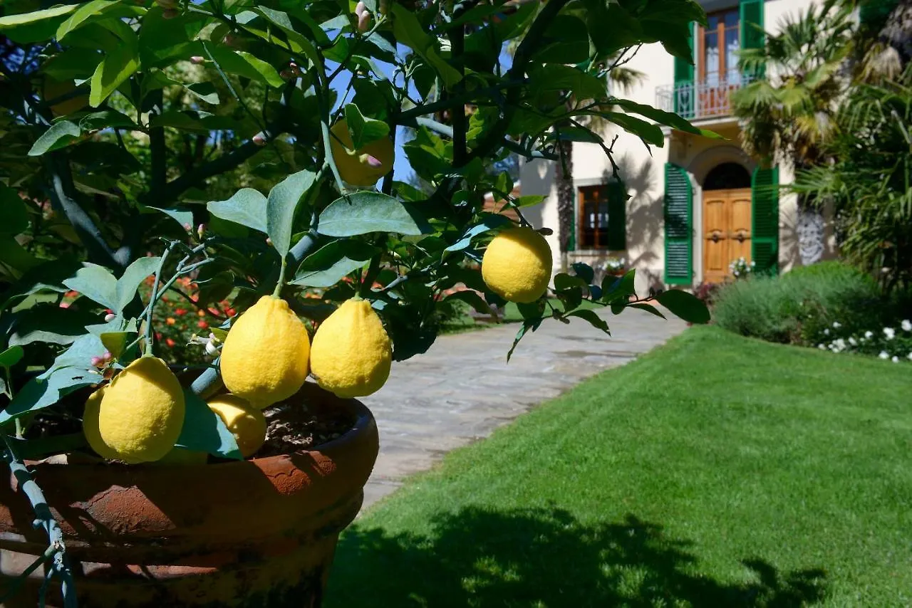 تيرانووفا براتشولي Villa Le Facezie B&B إيطاليا